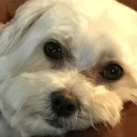 Meet your Posher, Lynda - Picture 2 of 2